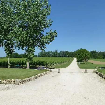 Chateau De Castelneau Saint-Léon
