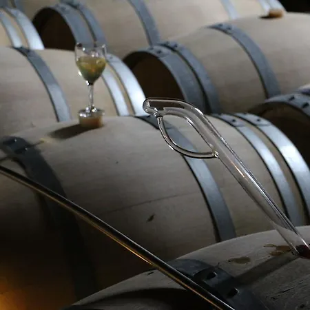 Nocleg ze śniadaniem Chateau De Castelneau *