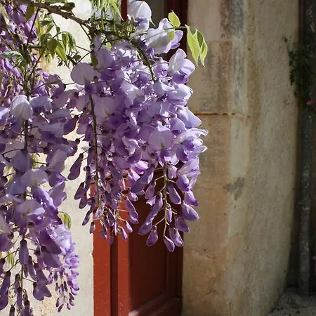 Chateau De Castelneau
