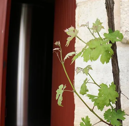 Bed & Breakfast Chateau De Castelneau Saint-Léon