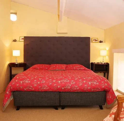 Bed & Breakfast Chateau De Castelneau