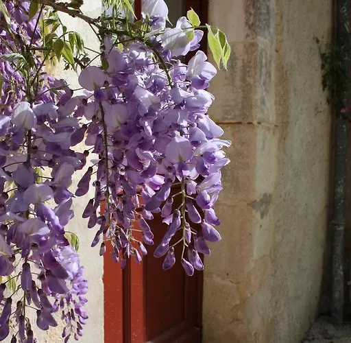 Chateau De Castelneau