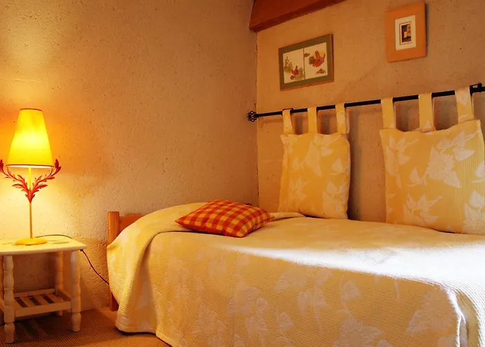 Chateau De Castelneau Bed & Breakfast